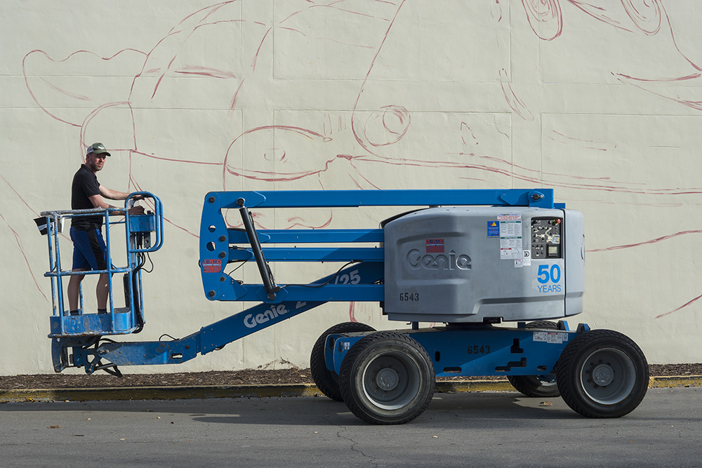 "Dream Big" or Go Home: 3D Mural by Leon Keer